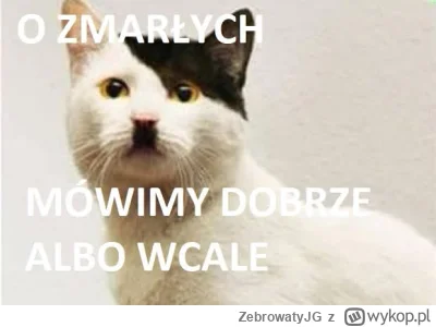 ZebrowatyJG - #1listopada #heheszki #swietozmarlych