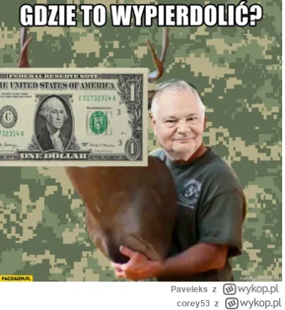 corey53 - #gielda #waluty