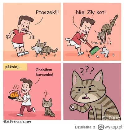 Dzulietka - #kitku #koty #heheszki #dzulikotki