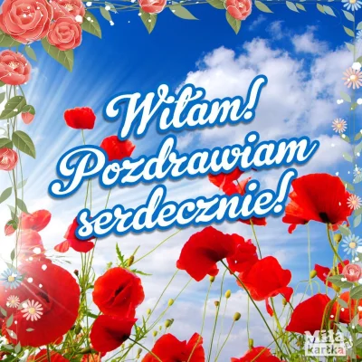 behawiorystykapaczelokoww_saunie - Witajcie, przychodzę do was z #hejto bo to co się ...