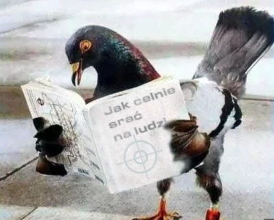 wujekzlarada - @okoniaczek: brakuje tego, poproś panią aby dorzuciła