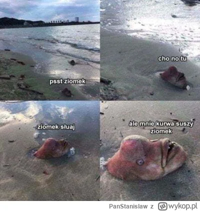 PanStanislaw - Ale nie na 100%.