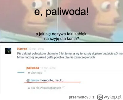 przemoko90 - @paliwoda: Homonciarzu je bany