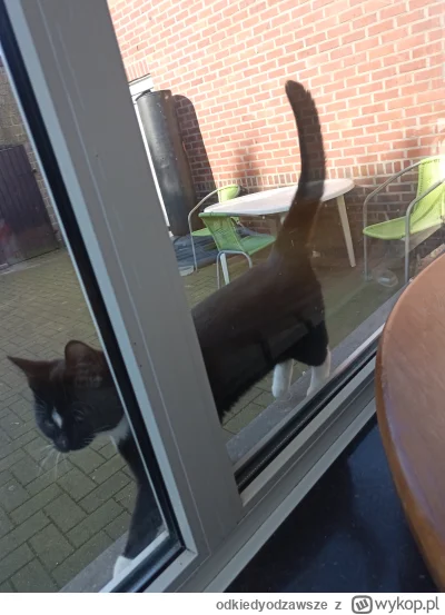 o.....e - cudasny, ma rówieśnika ale gdzieś poszedł