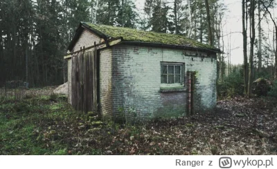 Ranger - Czym najtaniej odnowić elewację starej murowanej szopy?
Myślałem nad panelam...
