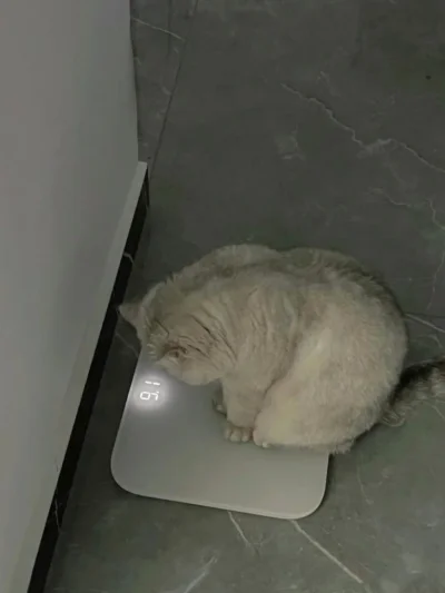 wybryk_natury - #zlodziejskiewybryki