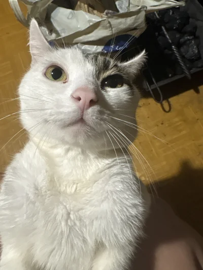 zssrauamaiw - @vulcanitu oddaj mi to