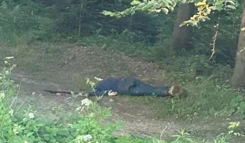 xazas - Niech się jakiś ekspert wypowie odnośnie ułożenia zwłok, jak denat strzelił s...