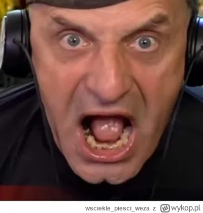 wscieklepiesciweza - ma ktoś wycinke jak jabłon drze morde hydraulika?  albo stream n...