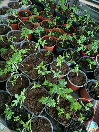 WrzeCiOna - @WrzeCiOna busz :)