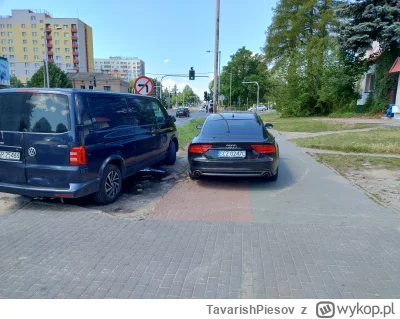TavarishPiesov - Niby nie można parkować na chodniku, ale jak się bardzo chce i użyje...