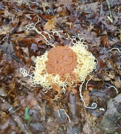SzycheU - Komu spaghetti?
#cursedimages #cursedfood #jedzenie #wtf #heheszki