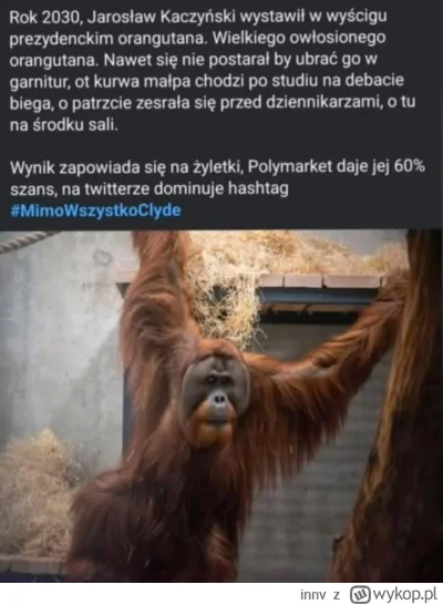 innv - #mimowszystkogangus 

#bekazpisu #polityka