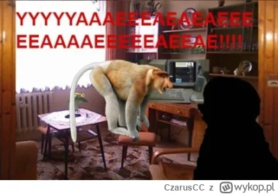 CzarusCC - @boolProptestingCheatsEnabledtrue: