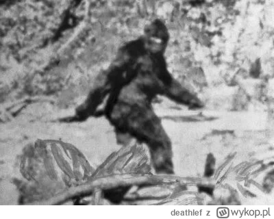 deathlef - @Dogecoin: masz rh+ to twój krewny: