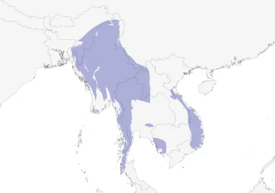 Lifelike - Zasięg występowania: