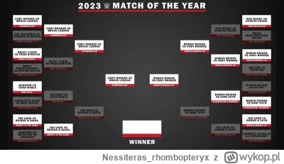 Nessiteras_rhombopteryx - Fani #wwe na YT głosowali na najlepszą walkę roku. Finaliśc...