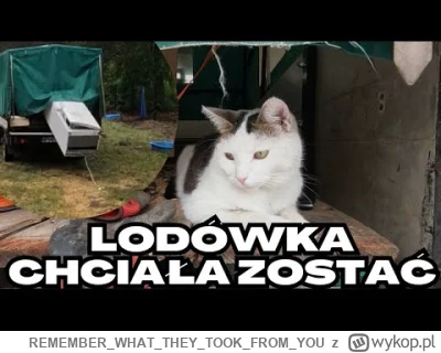 REMEMBERWHATTHEYTOOKFROM_YOU - Dopiero teraz zauważyłem, że taki Albert z lasu ma prz...