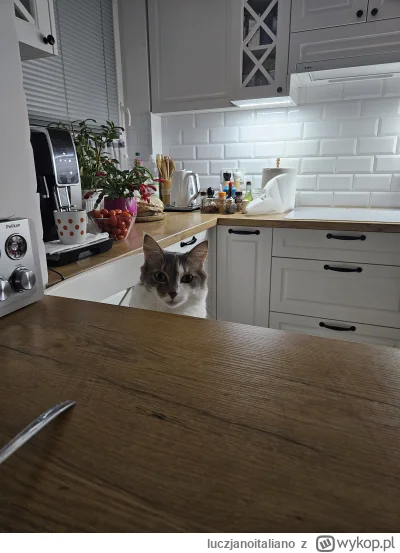 luczjanoitaliano - Czy jaknym otworzył własną kawiarnię i zatrudnił takiego bariste t...