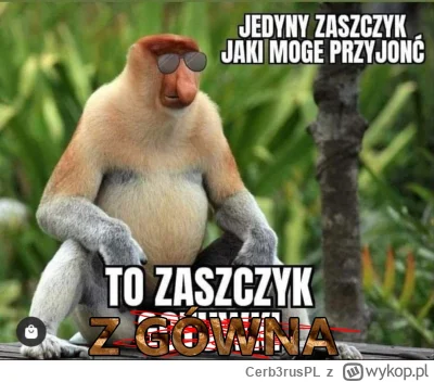Cerb3rusPL - #konkursnanajbardziejgownianymemznosaczem #bogactwo