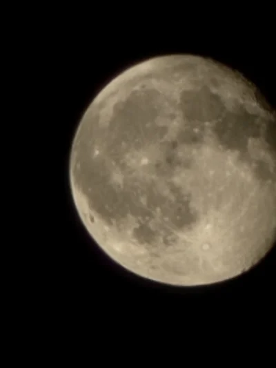 Samotnybrzydki - #przegryw chuop typu fotograf