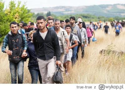 true-true - >dominacja Izraela nad arabami jest w interesie każdego Polaka 

@Elaviar...