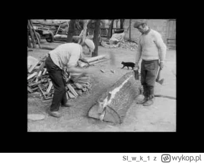 Slwk_1 - https://youtu.be/sI-aMUufN-0?si=6UabjkewTOPwIhDl

Ten film powstał kilka lat...