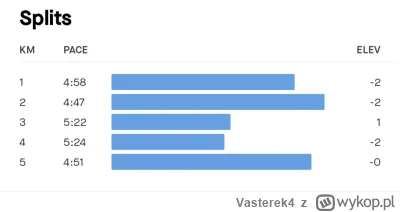 Vasterek4 - @Vasterek4 a tu mam wyniki splitsów co kilometr no i jest minuta różnicy ...