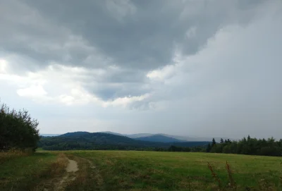 WR9100 - Widok na tzw. Gniazdo Jawornika po zachodniej stronie Tokarni: