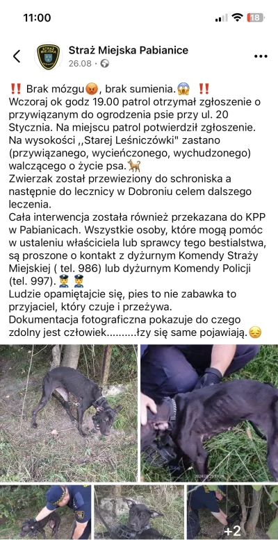 podomka - Podobno jakiś Ukrainiec znęcał się nad psem. Pies nie przeżył, a policja um...