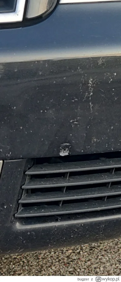 bugzer - @NuklearnySzpadel  @modzelem