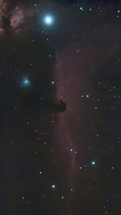 sanctioned_suicide - Aaa jest!! o jak się mordka cieszy że złapałem to i róże:D