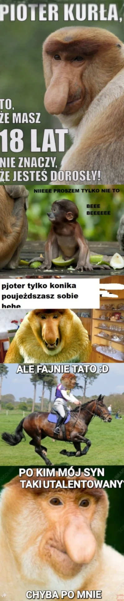 pawello321 - #konkursnanajbardziejgownianymemznosaczem