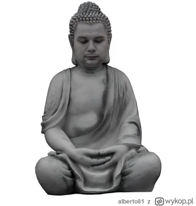 alberto81 - To już oficjalne
Budda siedzi
#budda #polskiyoutube #humorobrazkowy #hehe...