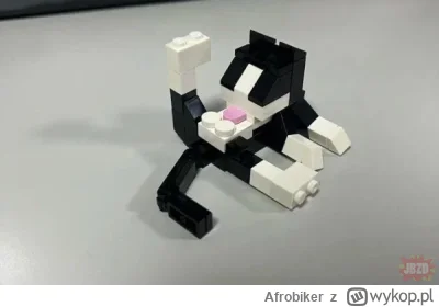 Afrobiker - #heheszki #pokazkota #lego