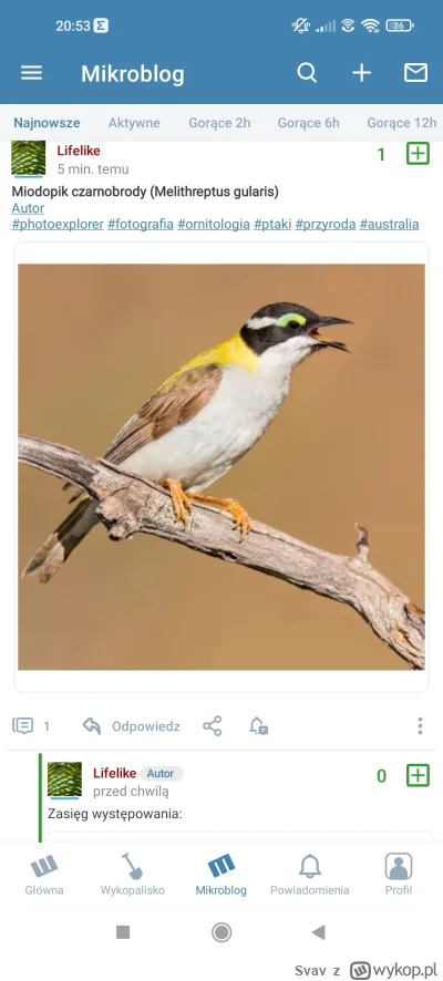 Svav - #wpis #ban 

Gościu chyba pcha się w bana? Wrzuca za dużo o ptakach. Był taki ...