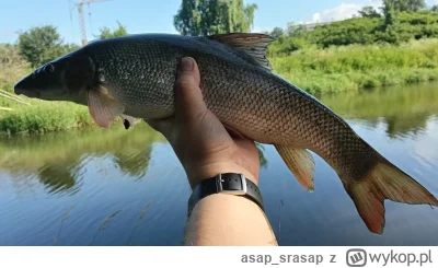 asap_srasap - @NiBBonacci i tak i nie. Jak jestem na jeziorze obok domu, to tak. Jede...