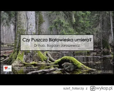 szef_foliarzy - @pijmleko: W temacie afery z Puszczą Białowieską i kornikiem, wycinać...