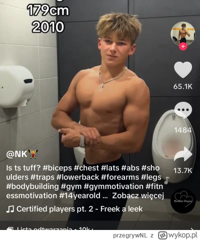 przegrywNL - #thetraitors