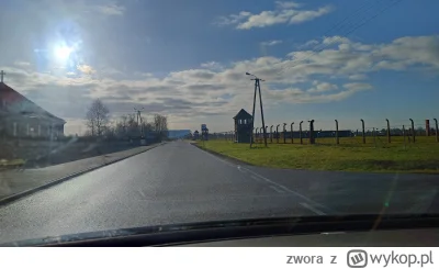 zwora - @frutson  @wladekjestem  @sportpomnikow