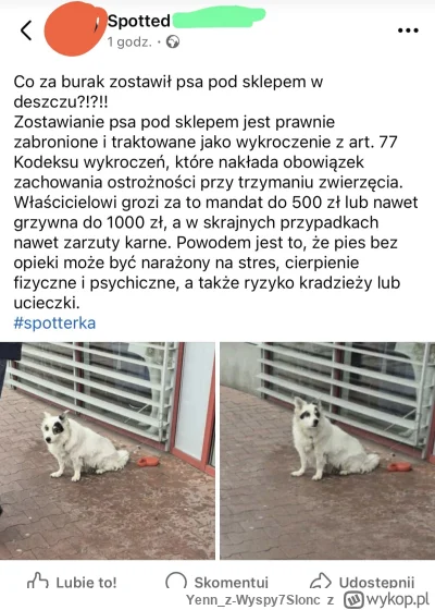 Yenn_z-Wyspy7Slonc - Serio psa nie wolno przed sklepem zostawiać? A co to dziecko jes...