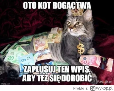ProElo - #heheszki #chumorobrazkowy #koty #pieniadze