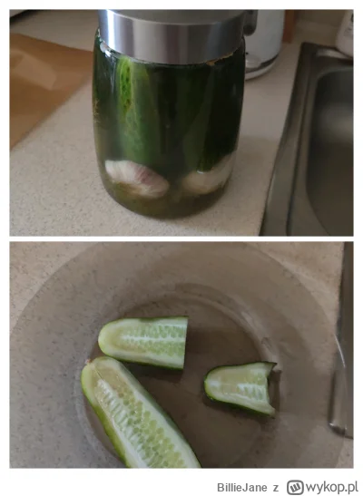 BillieJane - Dzień wolny 3 na 8
Dzisiaj mi się nie podobało.
2h spaceru, poza tym nic...