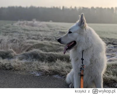 krzyk2 - 54 172,00 - 37,00 - 11,11 - 12,22 - 12,49 - 5,24 = 54 093,94

Ostatnie biegi...