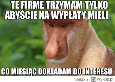 Bulgo - @mirko_anonim: widocznie nie nadajesz się do prowadzenia działalności gospoda...