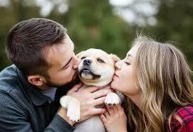 theOstry - Chciałbym zgłosić traktowanie psów jak dzieci (tak zwane psiecka czy też r...