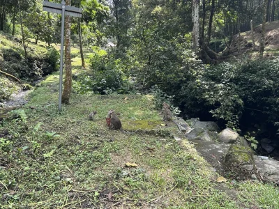 Nusantara - Człowiek chciał w ciszy iść na #spierdotrip odpocząć od wszystkiego, a tu...