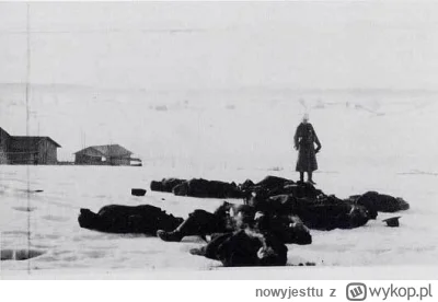 n.....u - W Polsce mamy spór polityczny PO i PiS. PO popierają głównie przesiedleńcy ...