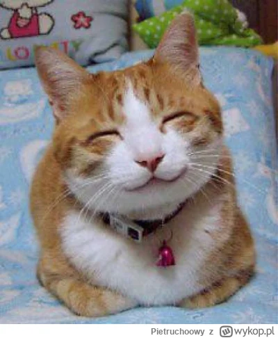Pietruchoowy - @Yeahido Aventusiiiikiem