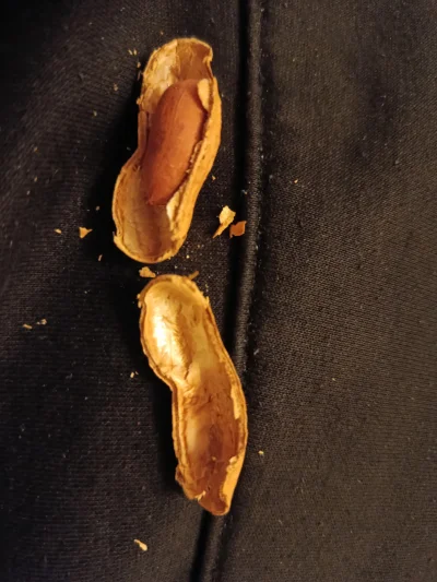 J3bacz2000 - #przegryw oszukali huopa tylko jeden orzeszek w orzeszku